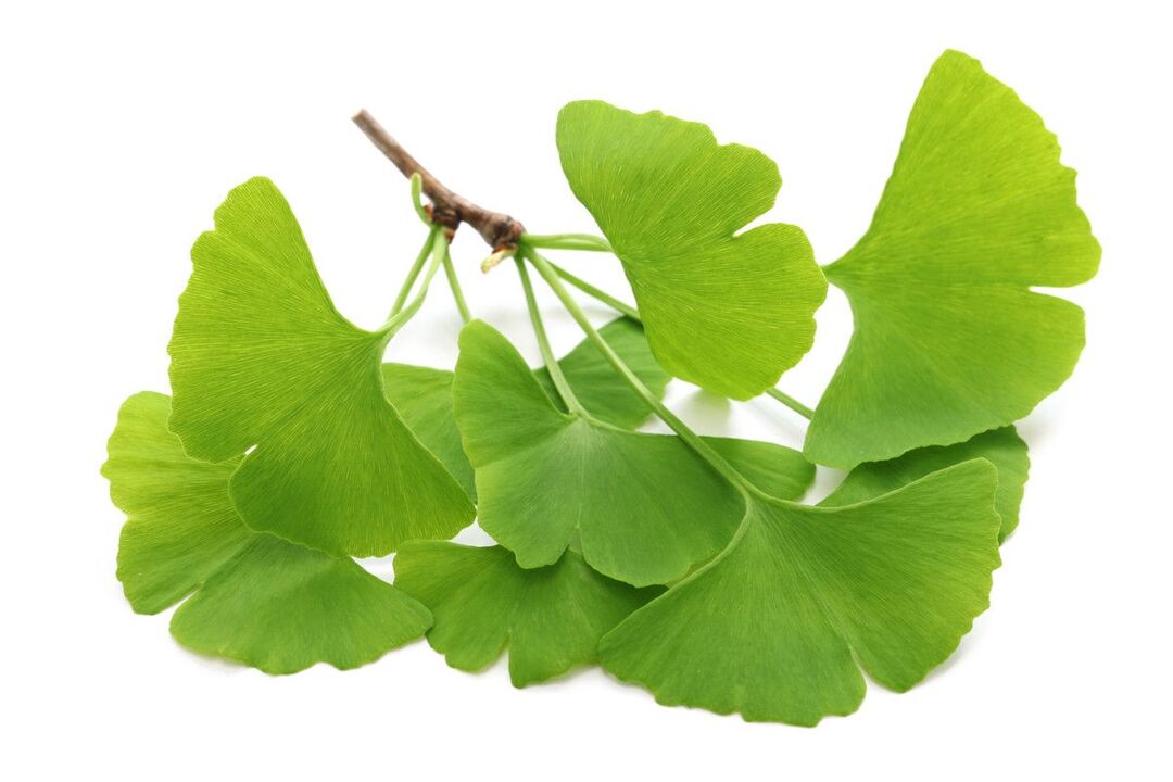 ginko biloba en gotas Alcozar